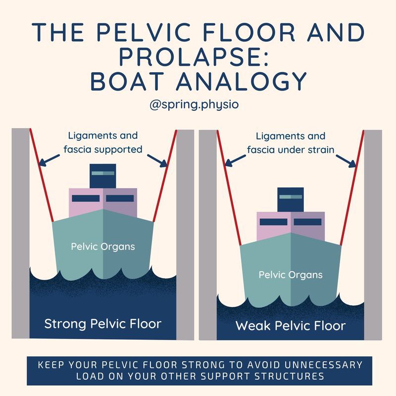 Prolapse and the pelvic floor