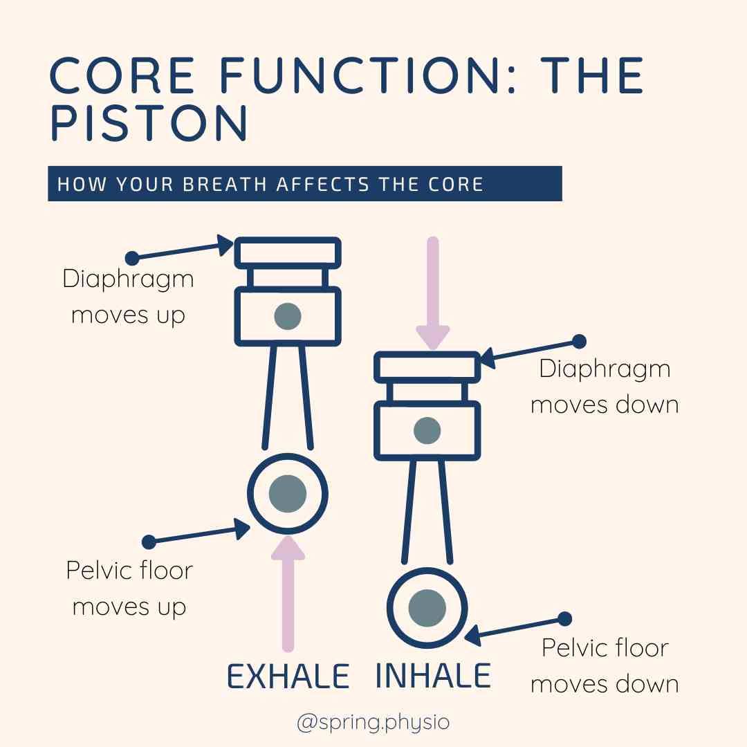 Core muscles piston analogy